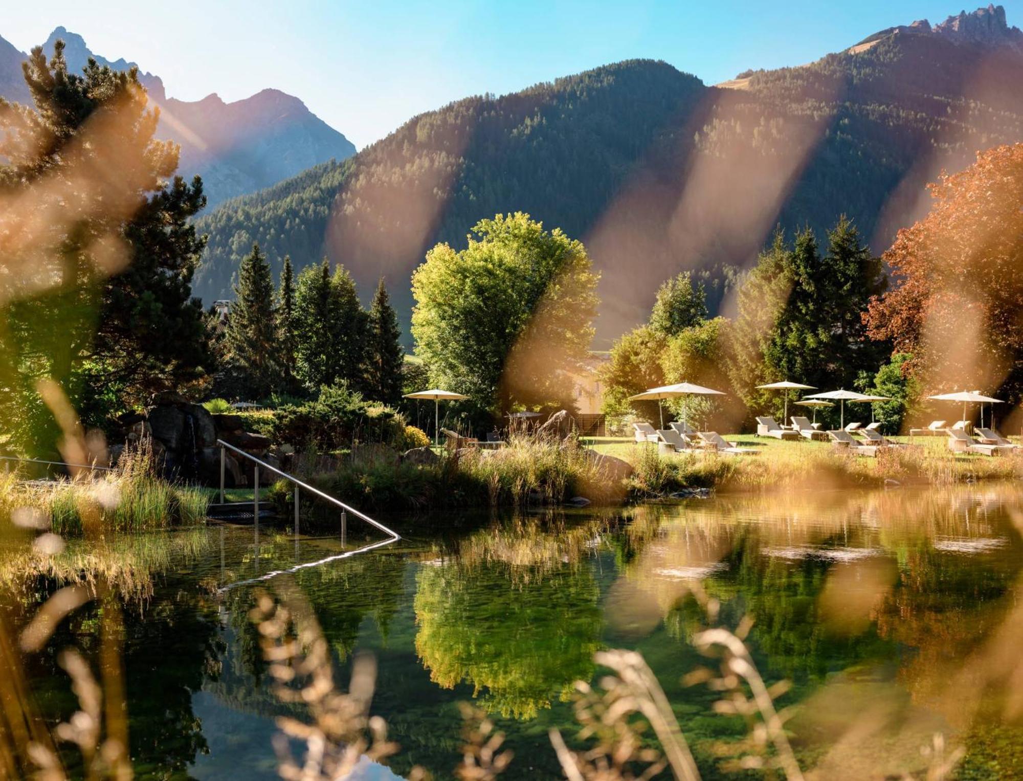 Forster'S Naturresort 노이스티프트임스튀바이탈 외부 사진